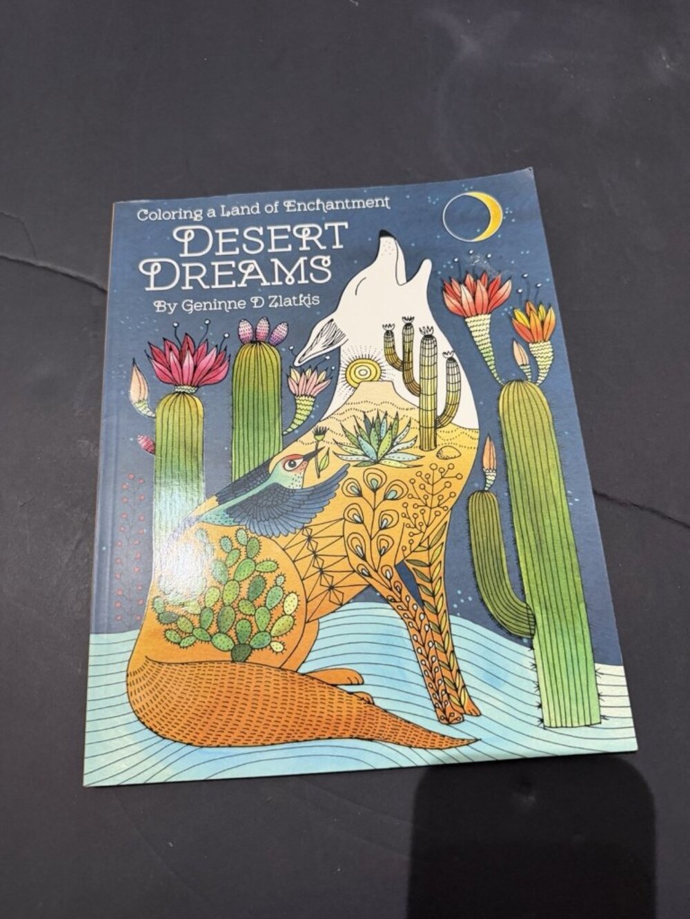 Desert Dreams Coloring A Land Of Enchantment Coloring Book Never Used